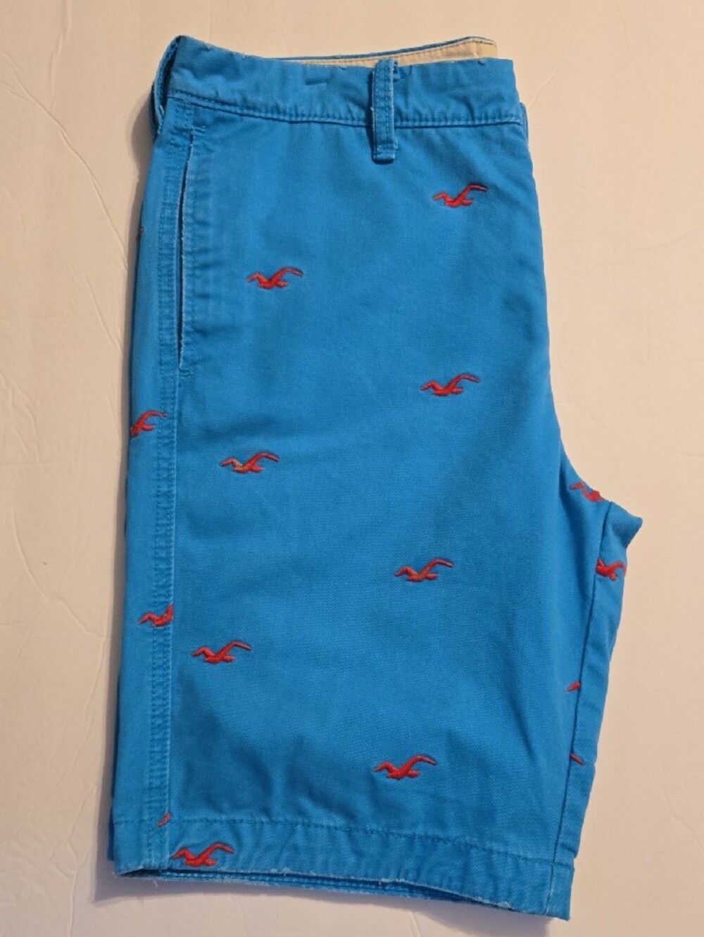 Hollister Turquoise Shorts with Pink Embroidered Seagulls - W34